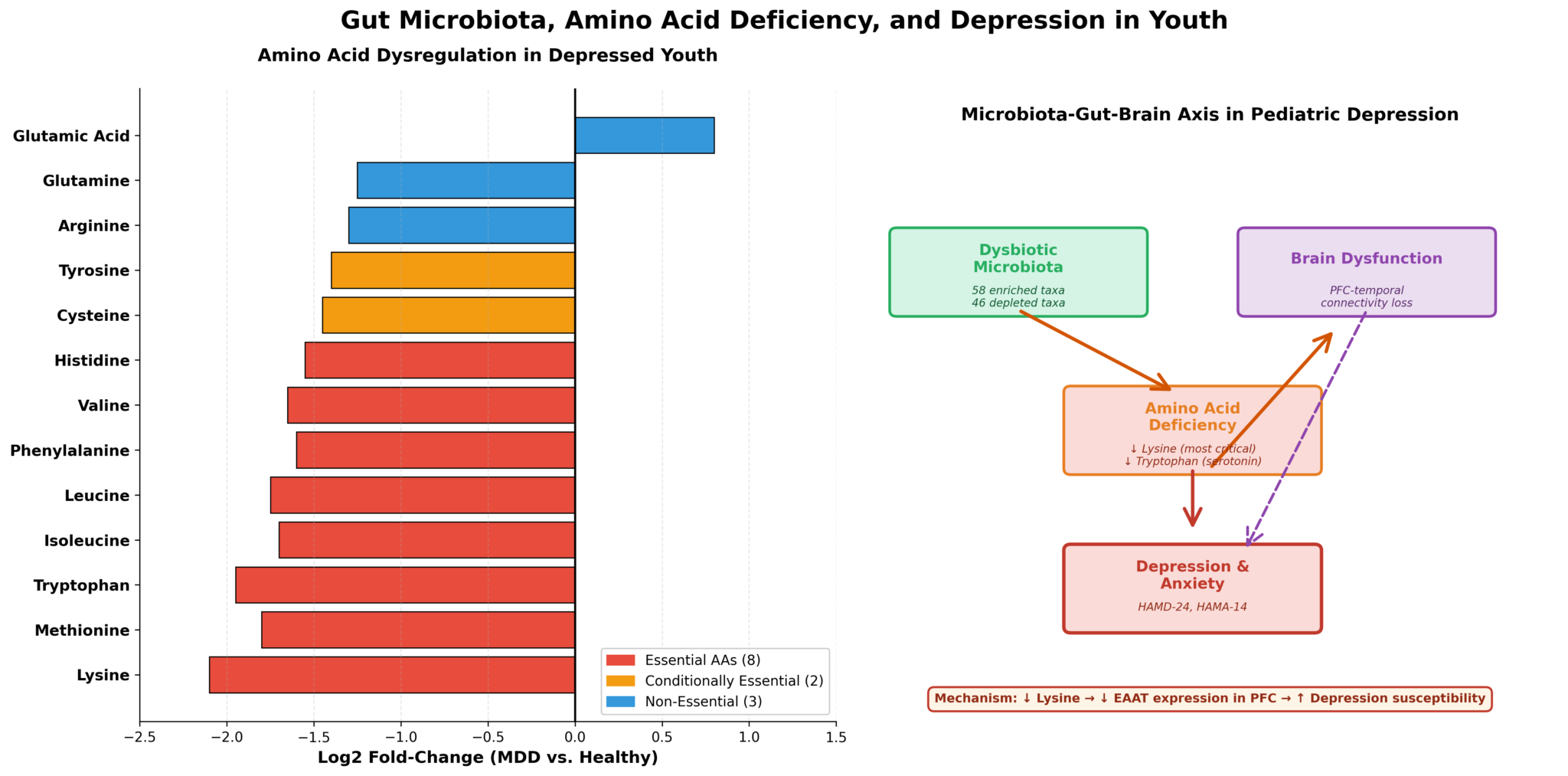 Amino acid fold-changes in depressed vs. healthy youth