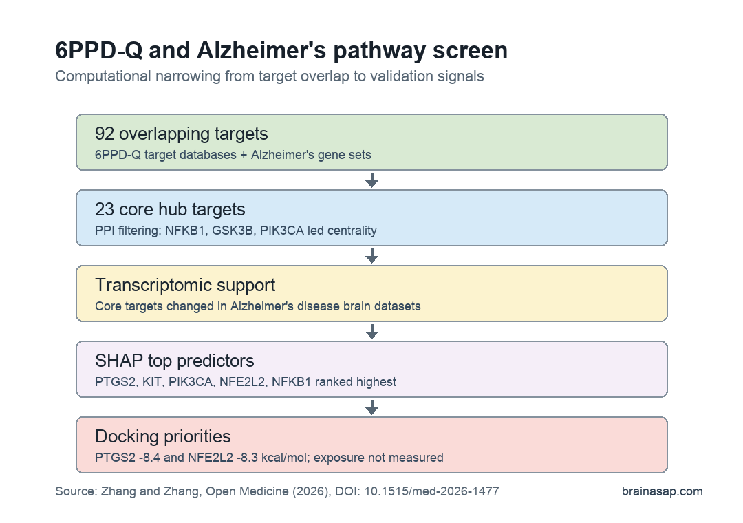 Chart summarizing 6PPD-quinone Alzheimer’s disease target filtering from 92 overlapping targets to 23 core targets and key validation signals
