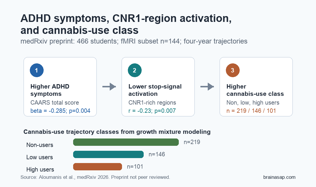 Diagram showing ADHD symptoms linked to lower CNR1-region stop-signal activation and higher cannabis-use class, with non-user, low-user, and high-user class counts.