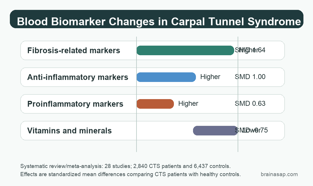 Inline chart showing higher fibrosis, anti-inflammatory, and proinflammatory blood markers and lower vitamins and minerals in carpal tunnel syndrome