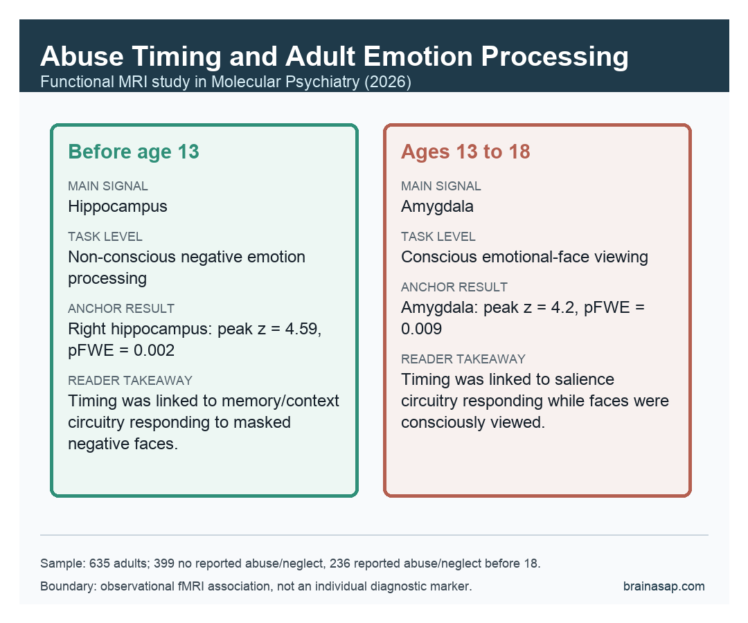 Brain ASAP visual comparing early abuse and adolescent abuse limbic fMRI findings