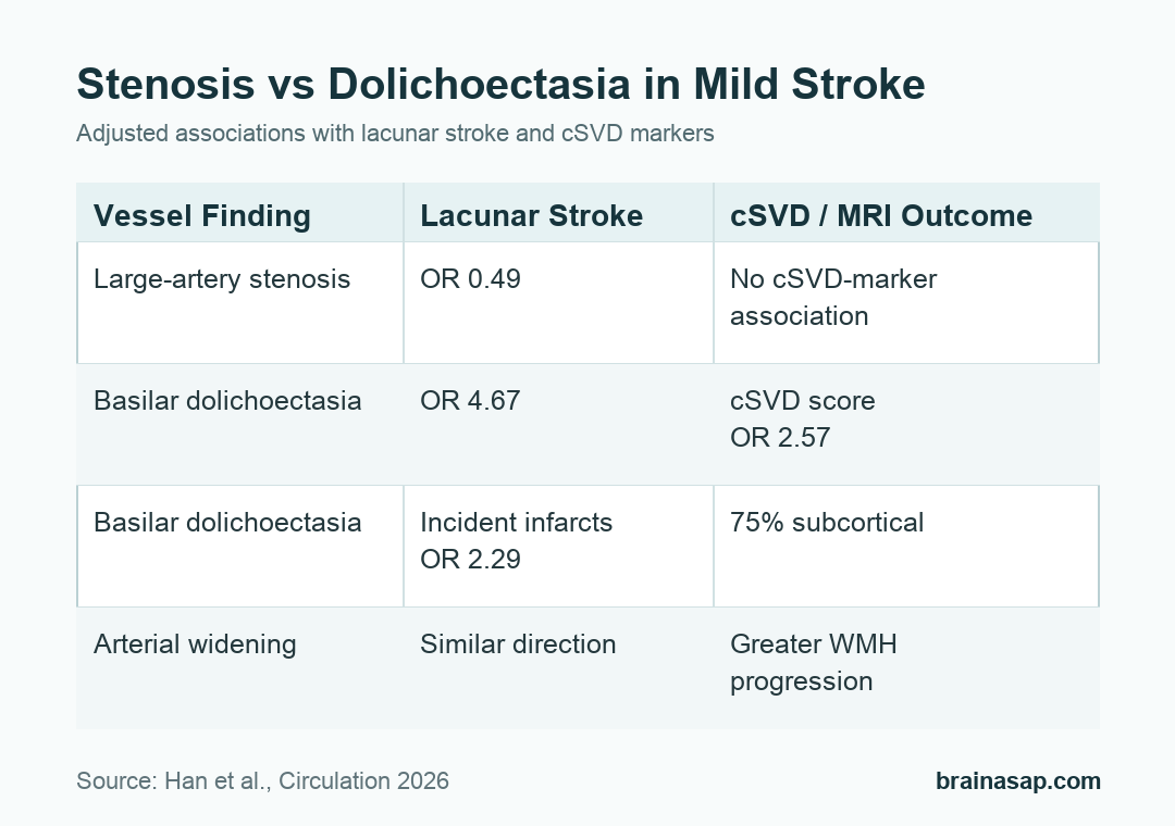 Comparison of large-artery stenosis and basilar artery dolichoectasia associations with lacunar stroke and small-vessel disease outcomes.