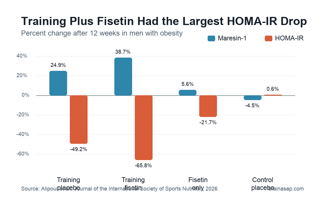 Bar chart showing percent changes in Maresin-1 and HOMA-IR after training-placebo, training-fisetin, fisetin-only, and control-placebo interventions