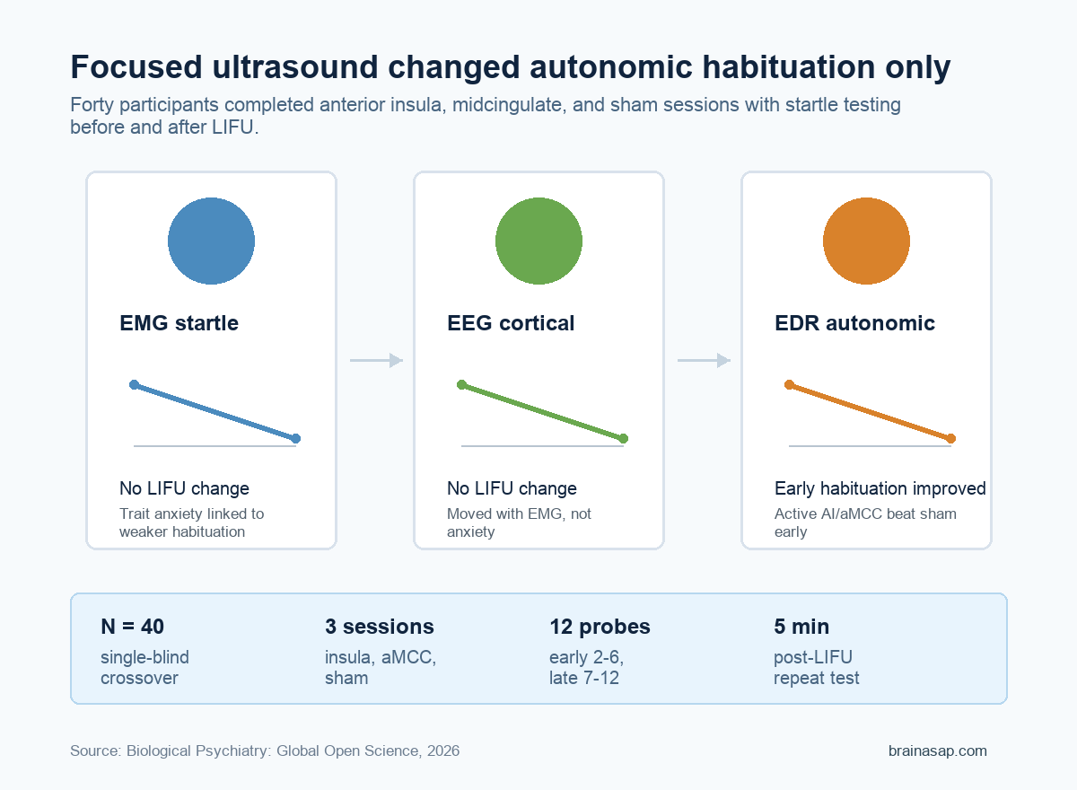 Diagram showing EMG and EEG habituation unchanged after focused ultrasound while early electrodermal habituation improved
