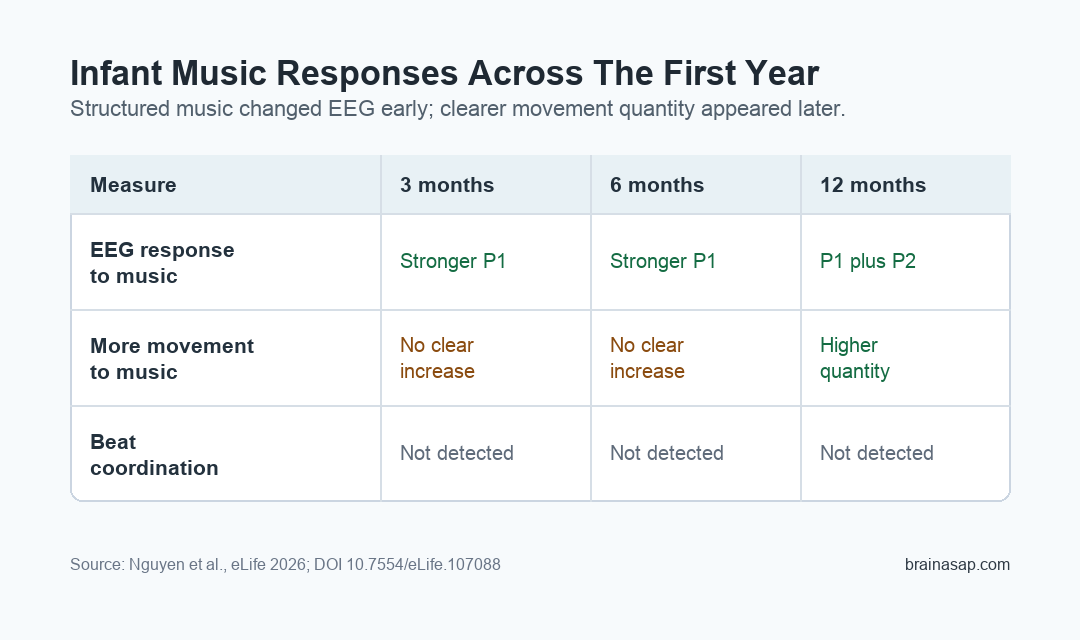 Matrix showing infant EEG responses to music, movement quantity, and beat coordination at 3, 6, and 12 months