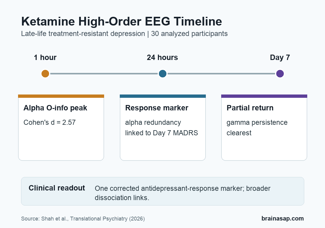 Timeline of ketamine-related high-order EEG interaction findings at 1 hour, 24 hours, and Day 7