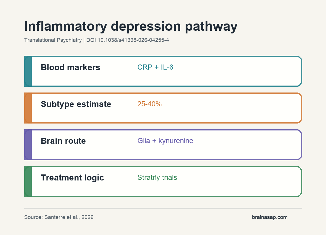 Summary graphic showing inflammatory depression pathway from CRP and IL-6 to glial activation, kynurenine metabolism, synaptic plasticity, and treatment stratification