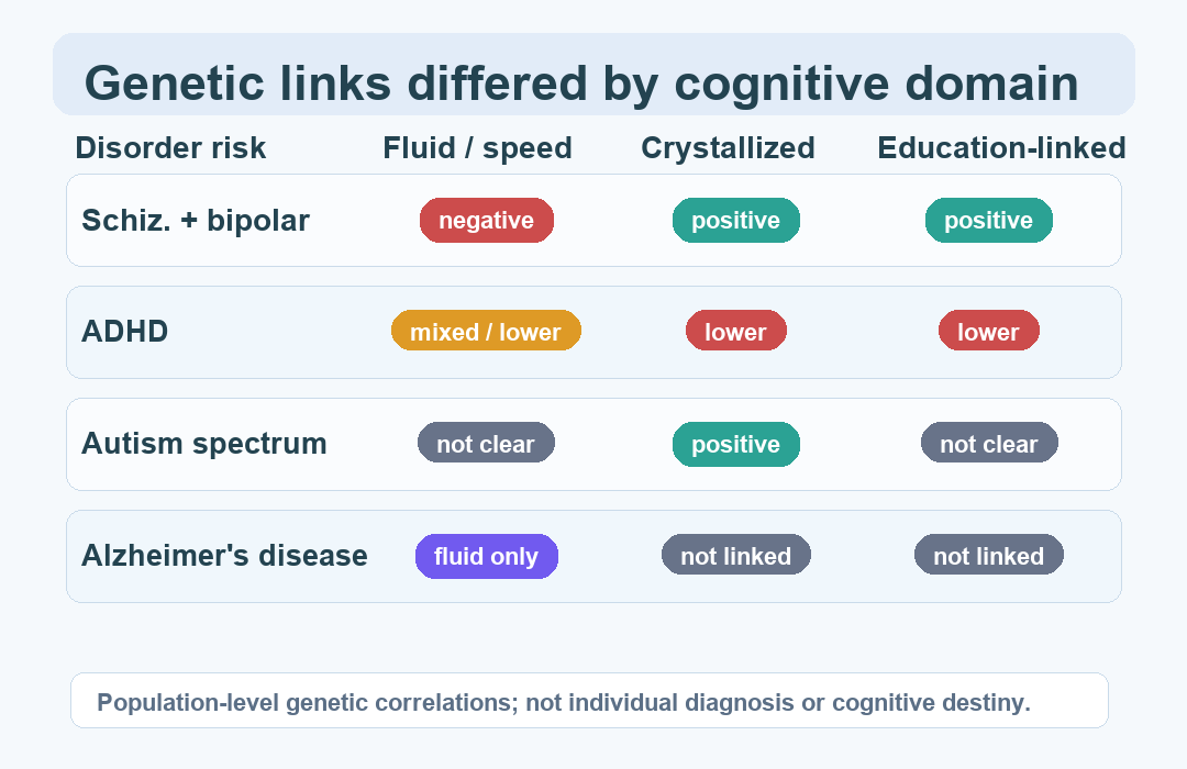 Summary of genetic association patterns between neuropsychiatric disorder risk and cognitive domains.