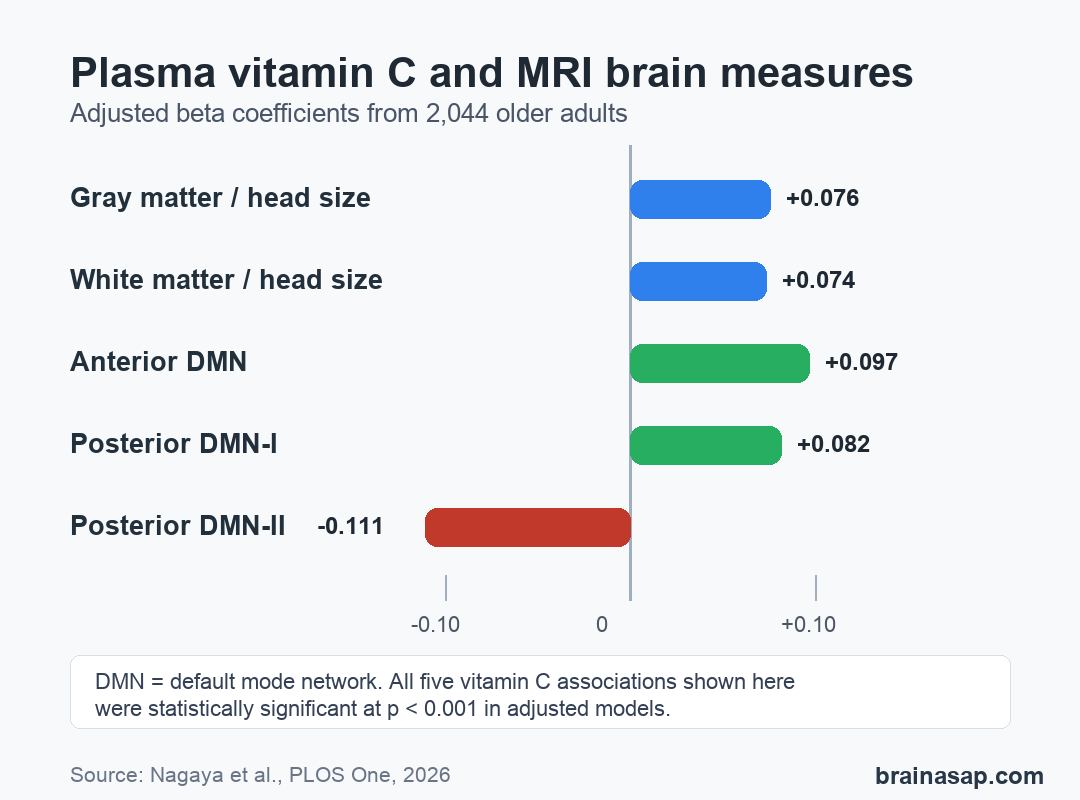 Horizontal bar chart showing adjusted beta coefficients linking plasma vitamin C with gray matter, white matter, and default mode network MRI measures