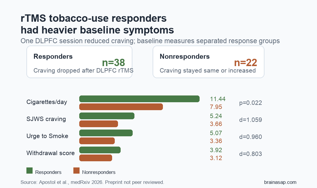 Bar comparison showing rTMS responders had higher baseline cigarettes per day, craving, urge to smoke, and withdrawal scores than nonresponders.