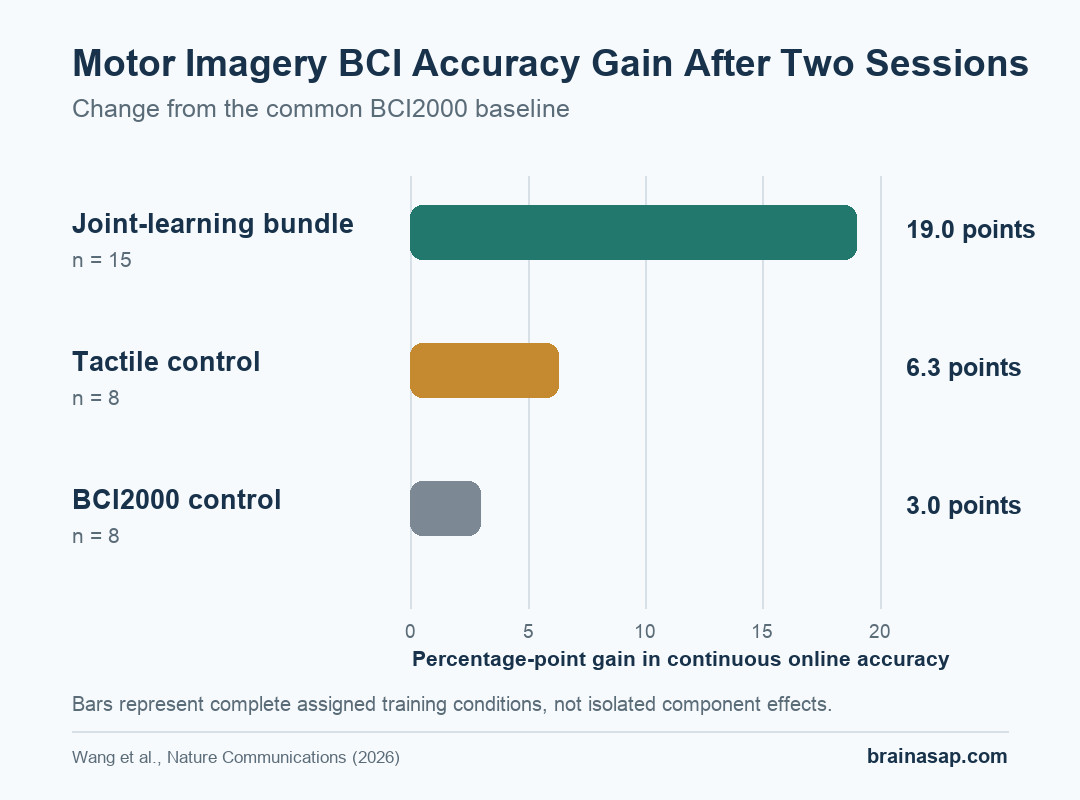 Horizontal bar chart showing left-right motor-imagery BCI online accuracy gains of 19.0 percentage points for the joint-learning group, 6.3 points for the tactile control, and 3.0 points for the BCI2000 control after two sessions.