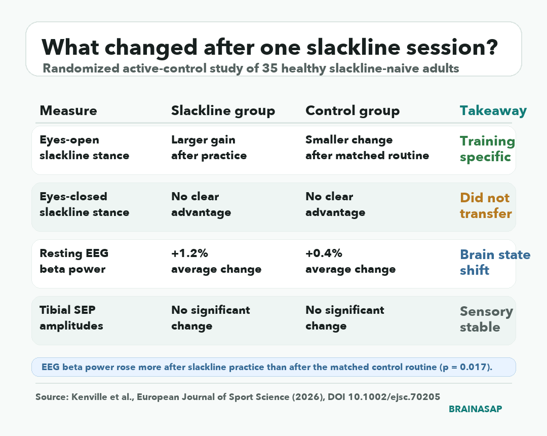 Summary matrix showing slackline practice improved eyes-open balance, increased resting EEG beta power, did not clearly improve eyes-closed balance, and did not change tibial SEP amplitudes