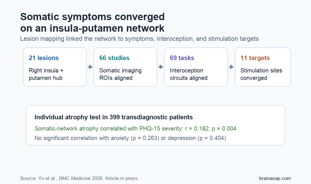 Diagram summarizing a somatic symptom network from 21 lesions, 66 imaging studies, 69 interoception tasks, 11 stimulation targets, and a 399-patient atrophy test.