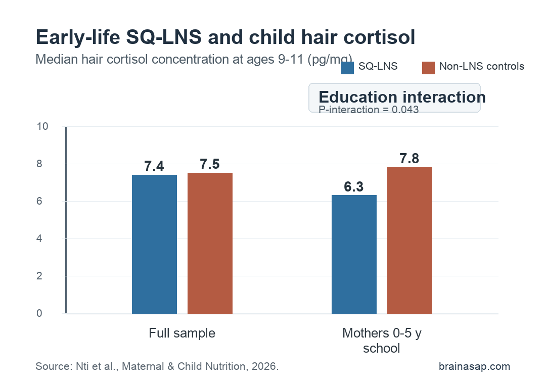 Hair cortisol comparison in children by early-life SQ-LNS exposure and maternal education group.