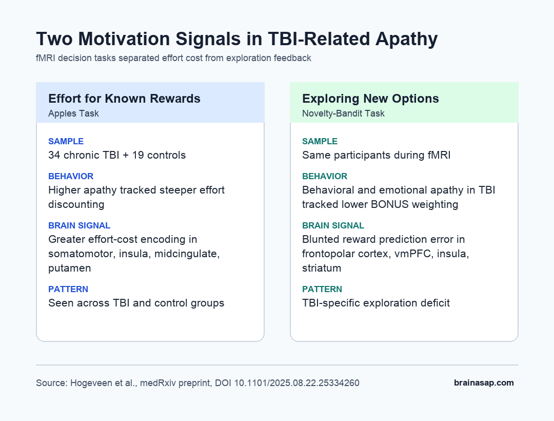 Matrix comparing effort discounting and exploration reward prediction error patterns in TBI-related apathy