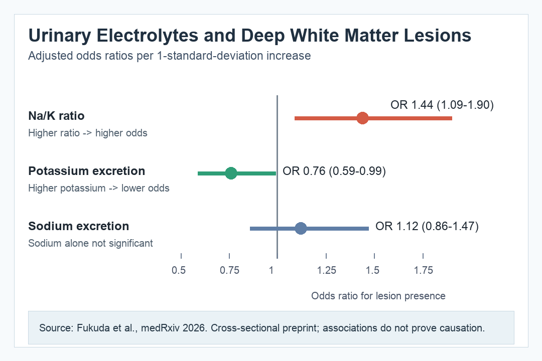 Summary chart showing deep white matter lesion odds associated with urinary sodium-to-potassium ratio and potassium excretion