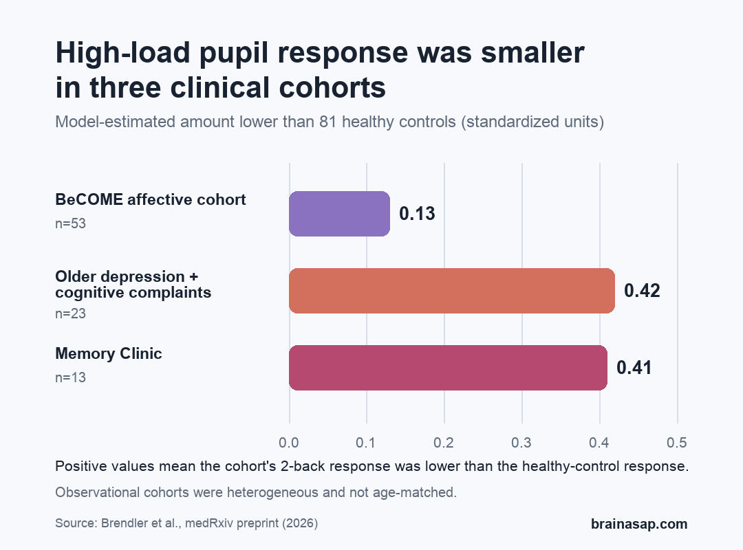 Horizontal bar chart showing that model-estimated 2-back pupil response was 0.13 standardized units lower in the 53-person BeCOME cohort, 0.42 lower in the 23-person older depression and cognitive-complaint cohort, and 0.41 lower in the 13-person Memory Clinic cohort than in 81 healthy controls.