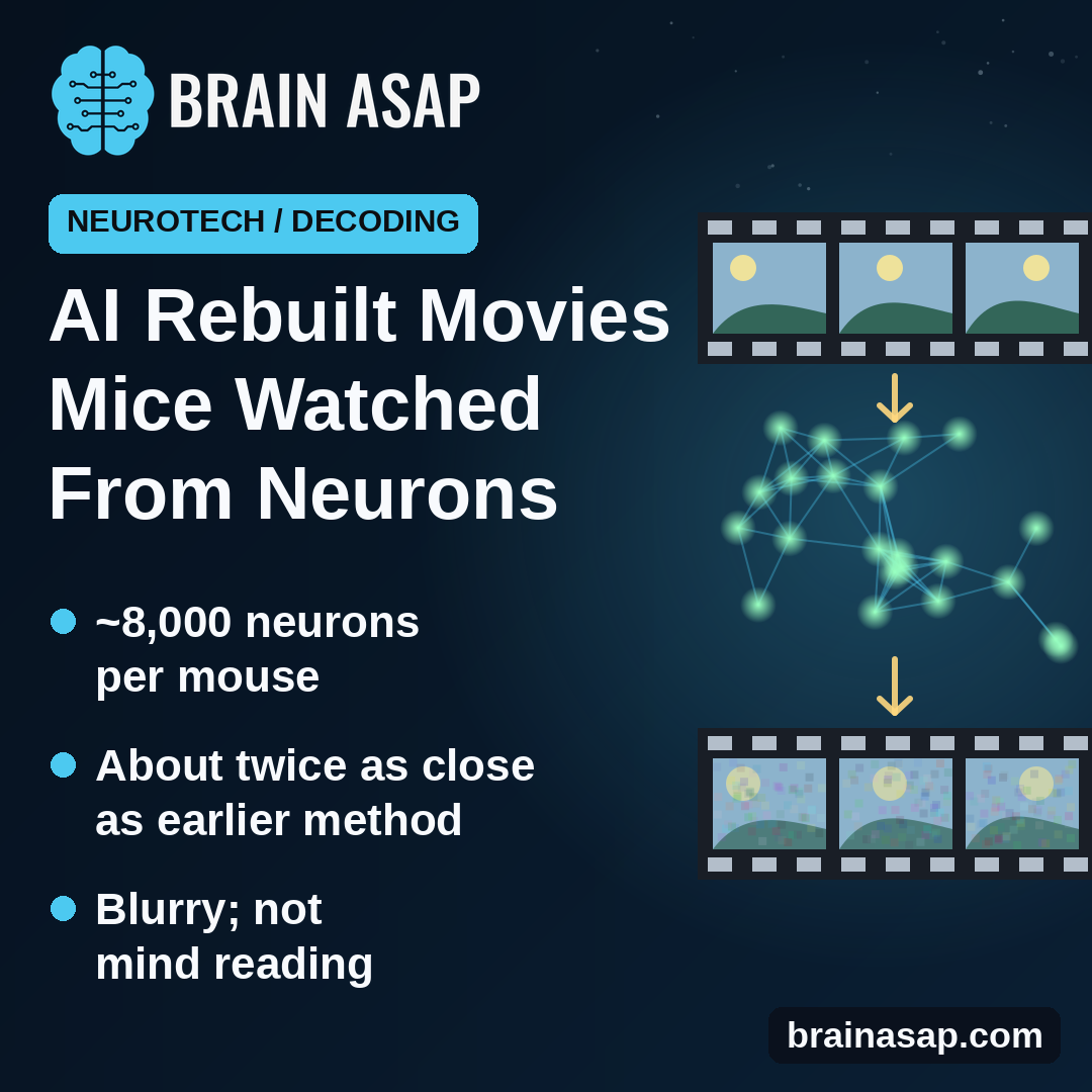 AI Rebuilt Movies Mice Watched From Their Brain Activity