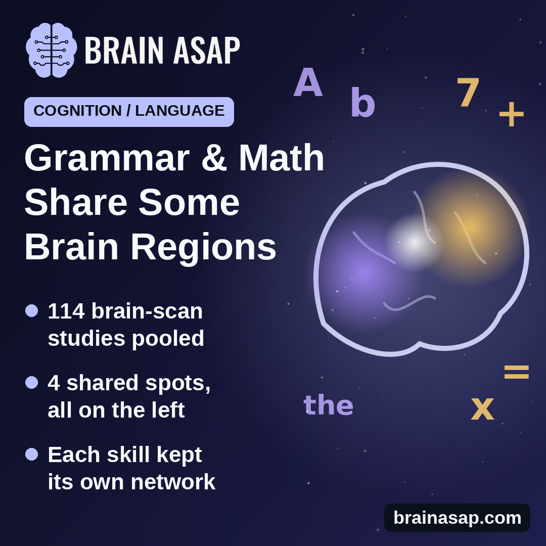 Grammar and Math Share Some Brain Regions, but Each Has Its Own Network