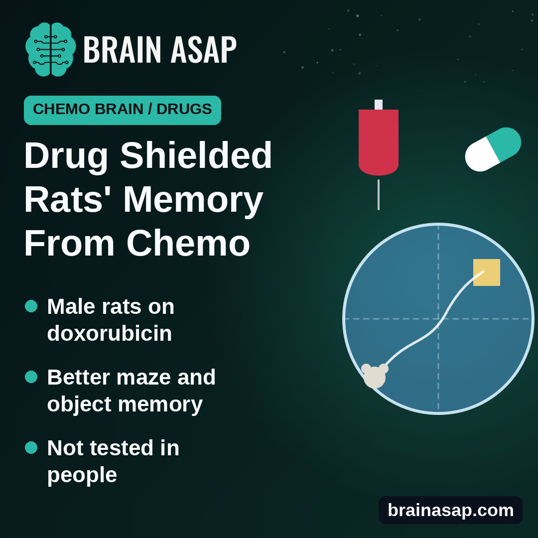 Antipsychotic Lurasidone Protected Memory in Rats Given Chemo