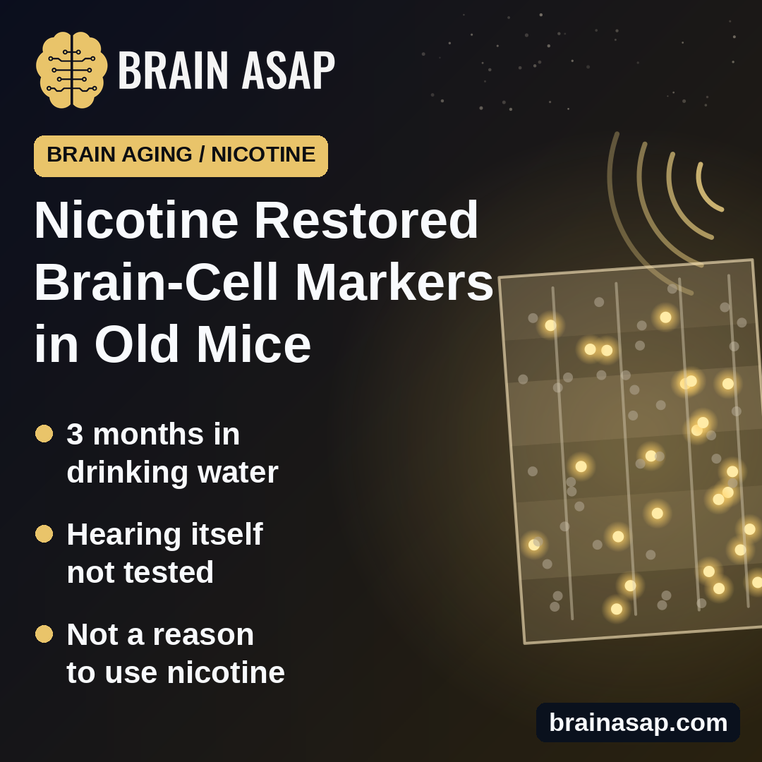 Nicotine Restored Fading Brain-Cell Markers in the Hearing Cortex of Old Mice