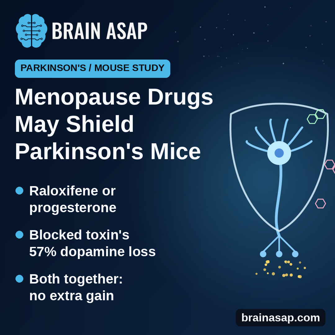 Raloxifene and Progesterone May Protect Dopamine in a Female Mouse Model of Parkinson's