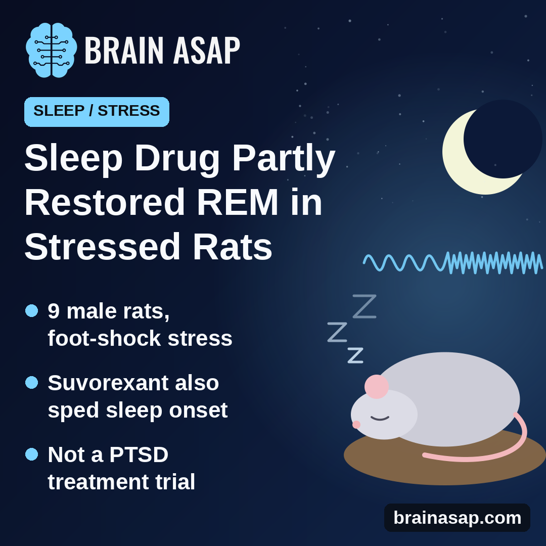 Insomnia Drug Suvorexant Partly Restored REM Sleep in Stressed Rats