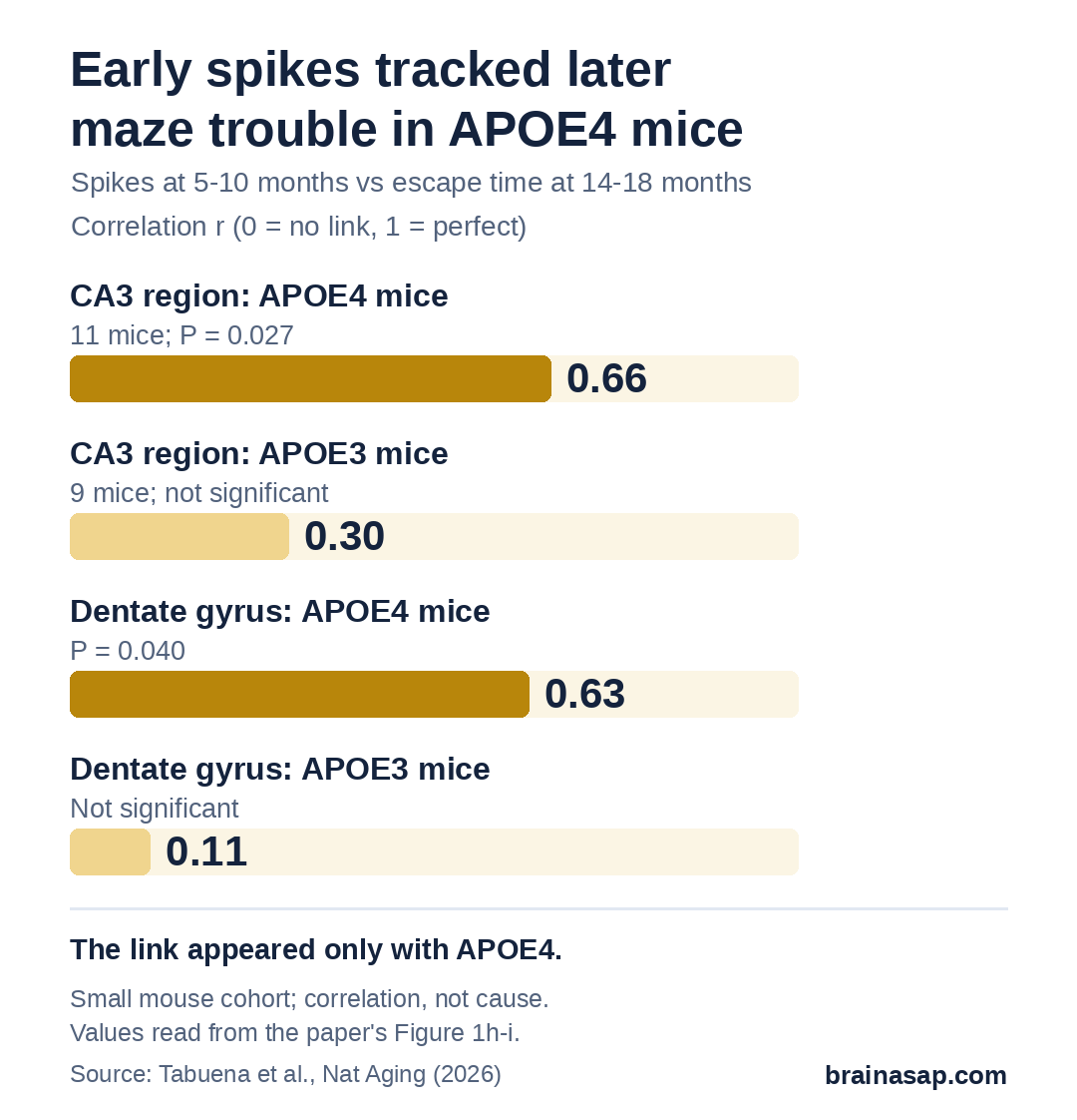 Bar chart of correlations between early brain spike rate at 5 to 10 months and later maze escape time at 14 to 18 months: CA3 region r = 0.66 in APOE4 mice versus 0.30 in APOE3 mice; dentate gyrus r = 0.63 in APOE4 mice versus 0.11 in APOE3 mice.