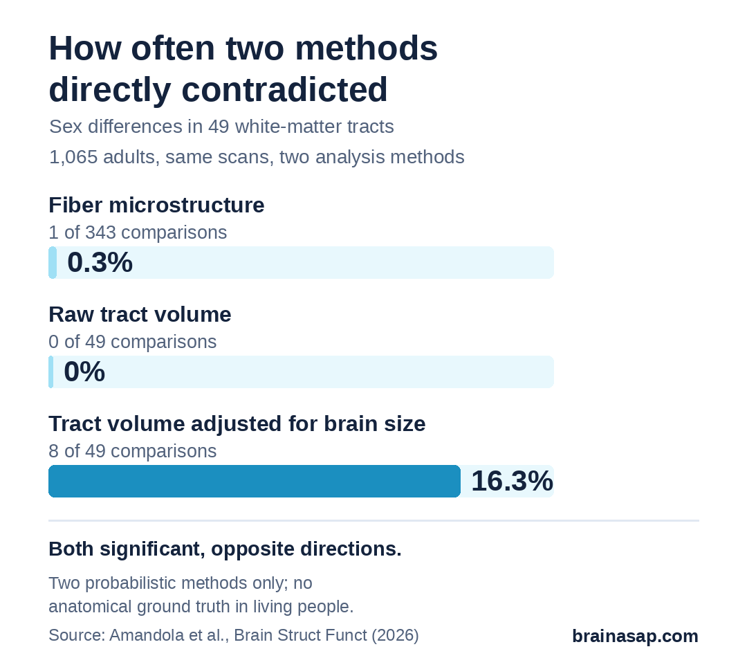 Bar chart of how often two brain-wiring methods directly contradicted each other on sex differences: microstructure measures 1 of 343 comparisons (0.3%), raw tract volume 0 of 49 (0%), tract volume adjusted for brain size 8 of 49 (16.3%).
