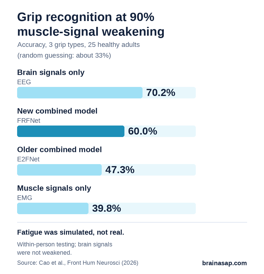 Bar chart of grip recognition accuracy at 90% simulated muscle-signal weakening: brain signals only 70.2%, FRFNet combined model 60.0%, E2FNet combined model 47.3%, muscle signals only 39.8%. Random guessing is about 33%.
