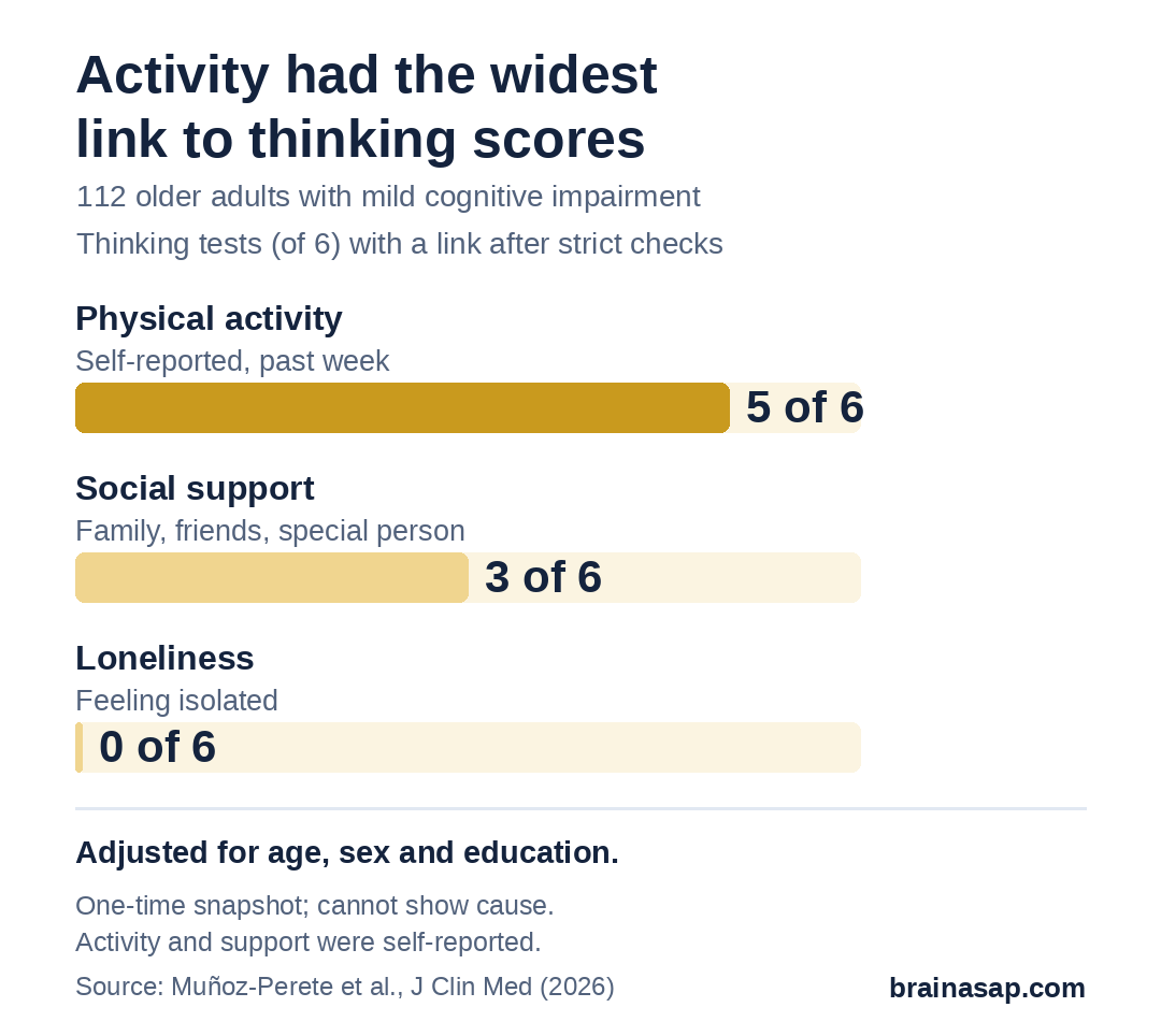 Bar chart of how many of 6 thinking tests had a link that survived correction for multiple comparisons: physical activity 5 of 6, social support 3 of 6, loneliness 0 of 6.