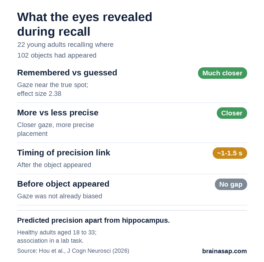 Summary chart of eye fixations during memory recall in 22 young adults: remembered locations drew much closer gaze than guesses; closer gaze went with more precise memories; the precision signal began about 1 to 1.5 seconds after the cue; there was no difference before the object appeared.