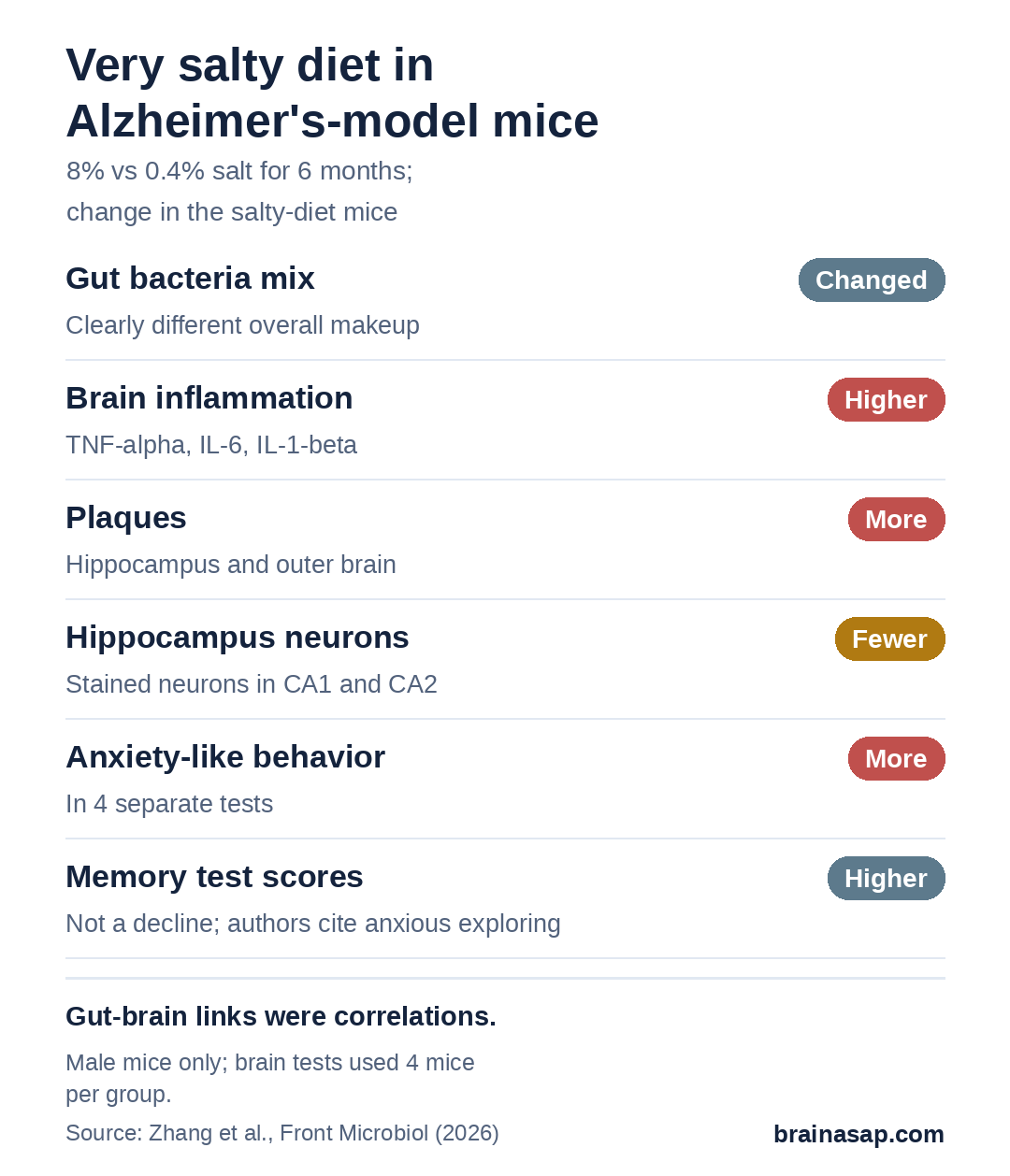 Summary chart comparing Alzheimer's-model mice on 8% salt with mice on 0.4% salt for 6 months: gut bacteria mix changed; inflammation markers higher; plaques more; hippocampus neurons fewer; anxiety-like behavior more; memory test scores higher, not lower.