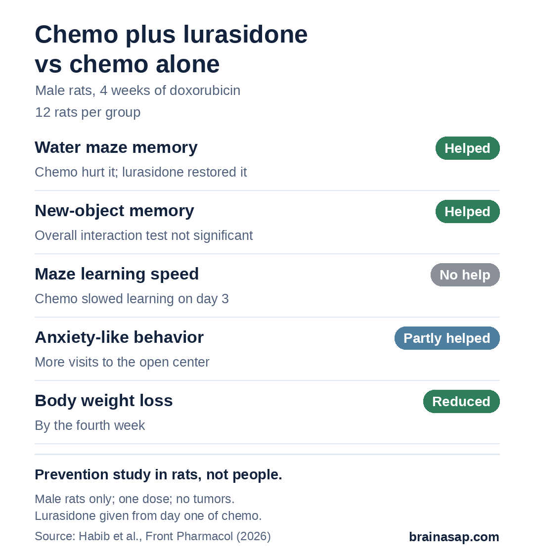 Summary of results in rats given doxorubicin with or without lurasidone: water maze memory, chemo hurt and lurasidone helped; object recognition memory, chemo hurt and lurasidone helped; maze learning speed, chemo hurt and lurasidone did not help; anxiety-like behavior, partly helped; body weight loss, reduced by week four.