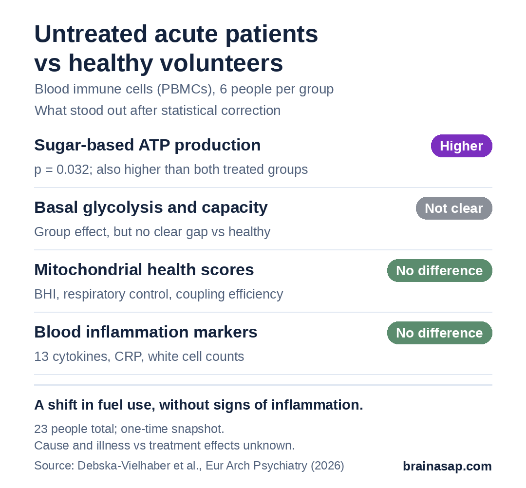 Summary chart comparing untreated acutely ill schizophrenia patients with healthy volunteers: sugar-based ATP production higher; basal glycolysis and glycolytic capacity not clearly different after correction; mitochondrial health indices no difference; blood cytokines, CRP and white cell counts no difference.