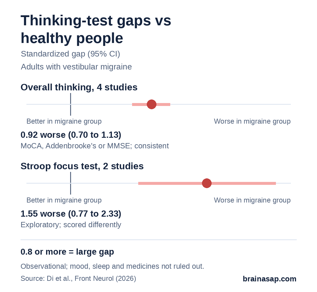 Range chart of standardized gaps in thinking-test performance, vestibular migraine vs healthy people: overall thinking 0.92 worse (95% CI 0.70 to 1.13, 4 studies), Stroop focus test 1.55 worse (0.77 to 2.33, 2 studies).